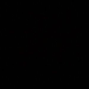 Meet your Posher, Lina